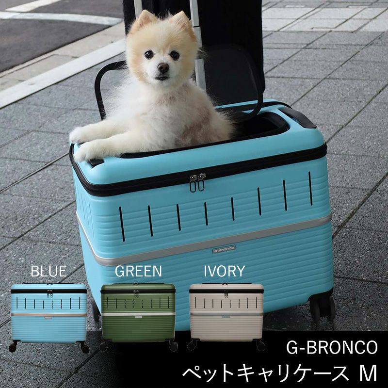 G-BRONCO　ビジネスバッグ